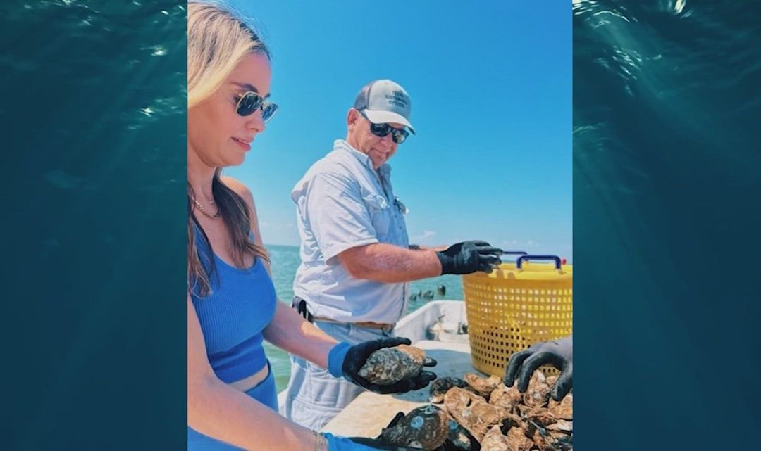 Get to know Hannah Kaplan, the proud owner of Barrier Beauties oysters.